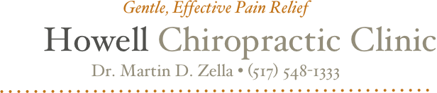Gentle, Effective Pain Relief
Howell Chiropractic Clinic
Dr. Martin D. Zella • (517) 548-1333
￼